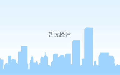 衬氟h41止回阀
